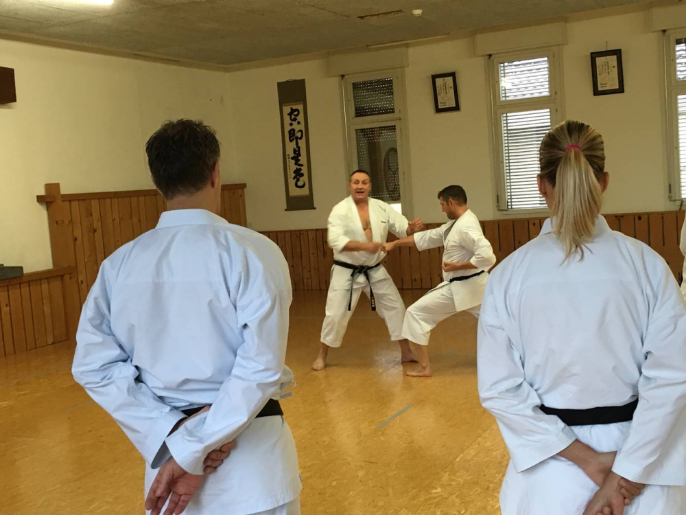 Blau_Braun_Schwarzgurt_Training_Nr2_02