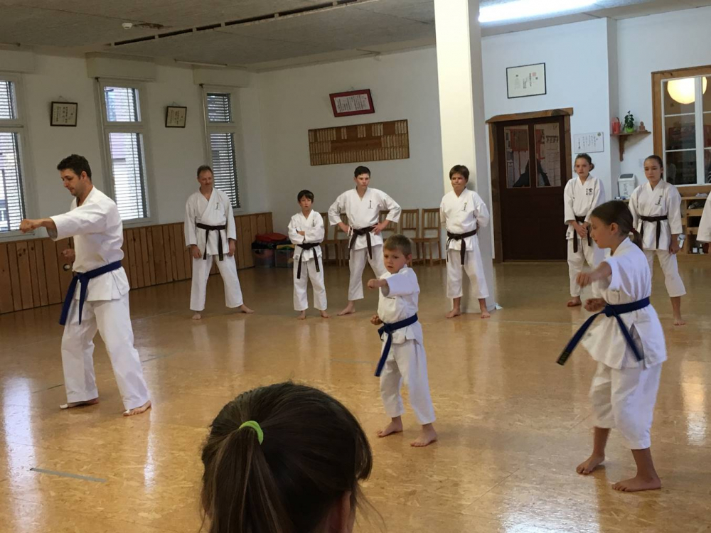 Blau_Braun_Schwarzgurt_Training_Nr2_03