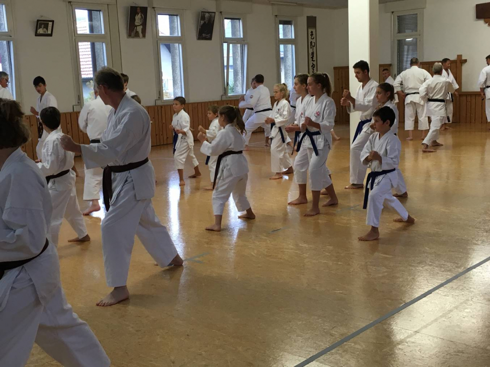 Blau_Braun_Schwarzgurt_Training_Nr2_08