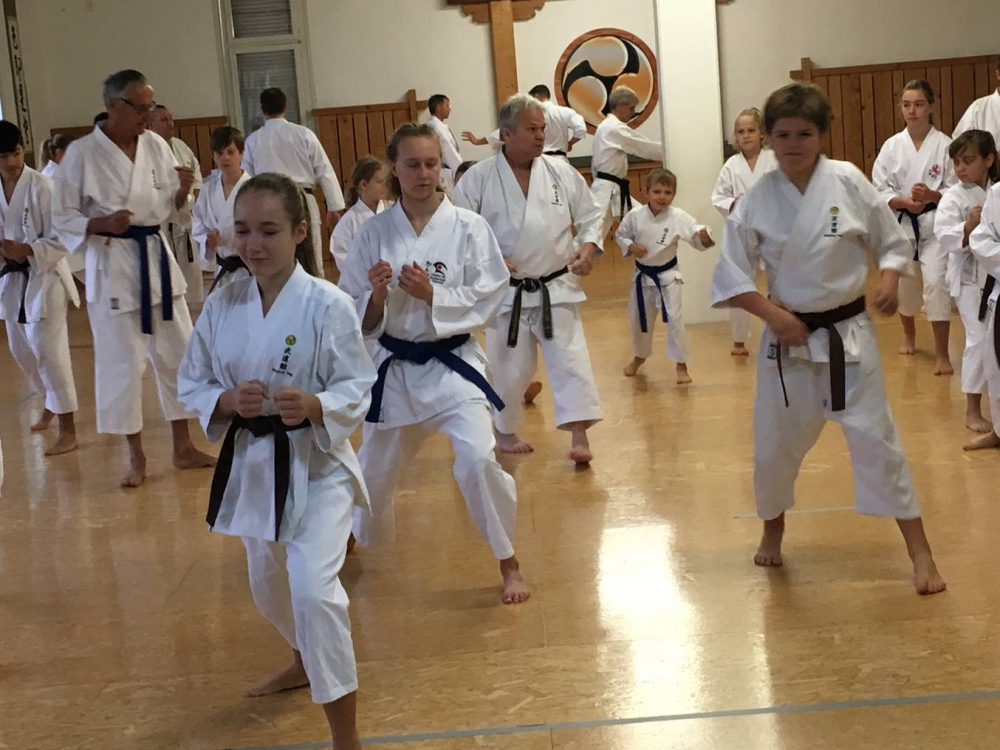 Blau_Braun_Schwarzgurt_Training_Nr2_09