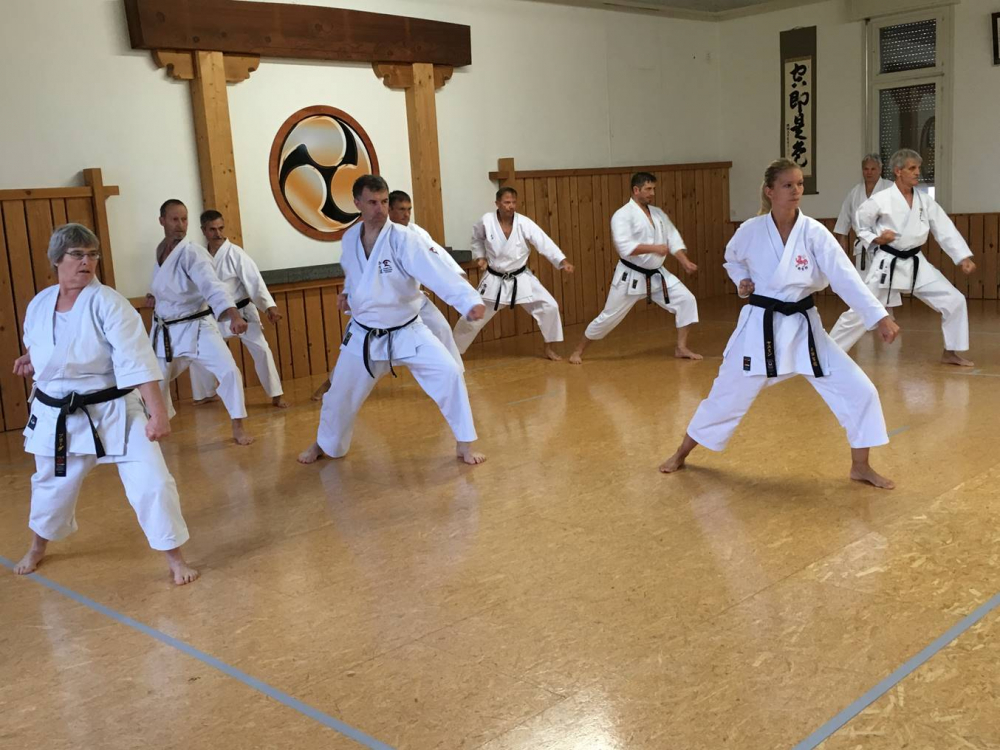 Blau_Braun_Schwarzgurt_Training_Nr2_10