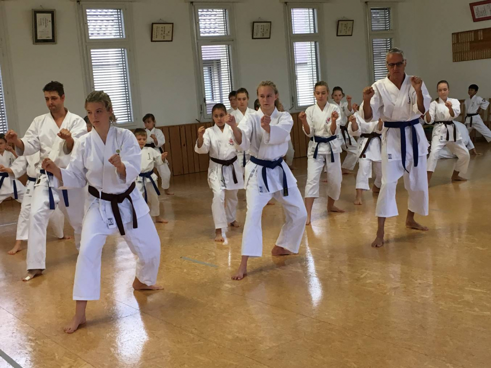 Blau_Braun_Schwarzgurt_Training_Nr2_11