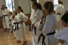 Blau_Braun_Schwarzgurt_Training_Nr2_05