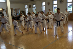 Blau_Braun_Schwarzgurt_Training_Nr2_06