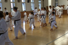 Blau_Braun_Schwarzgurt_Training_Nr2_08