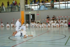 jska-cup_20120429_56