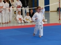 jska-cup2013_20130428_89