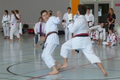 karate_jska_8