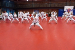 jskas-wm_20140517_33