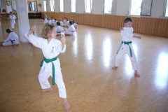 KinderJugendtrainingNr2_20120602_21