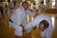 MeisterDerZeit_AbeSensei_20110510_21