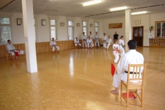 MeisterDerZeit_AbeSensei_20110510_33