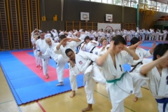 SKC-SM2012_20120401_55