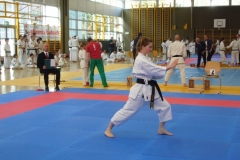 SKC-SM2012_20120401_71