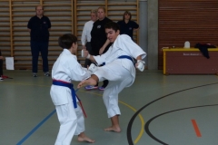 skc-schiedsrichterkurs_20130310_22