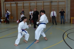 skc-schiedsrichterkurs_20130310_23