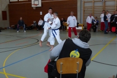 skc-schiedsrichterkurs_20130310_24