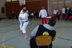 skc-schiedsrichterkurs_20130310_25