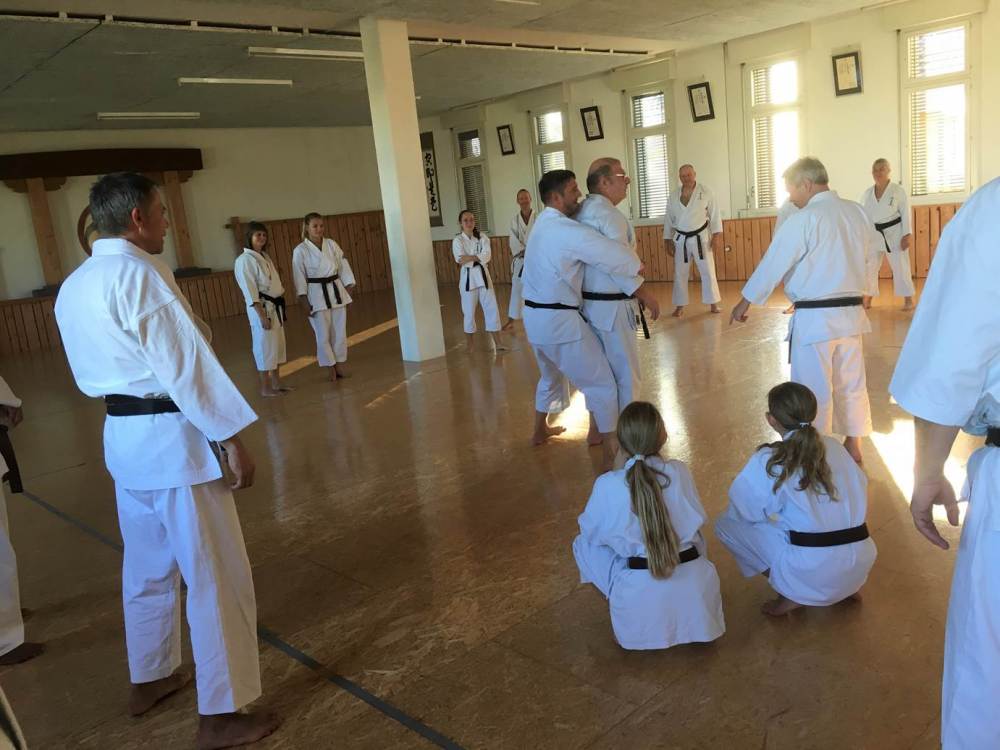 Blau_Braun_Schwarzgurt_Training_Nr_2_01