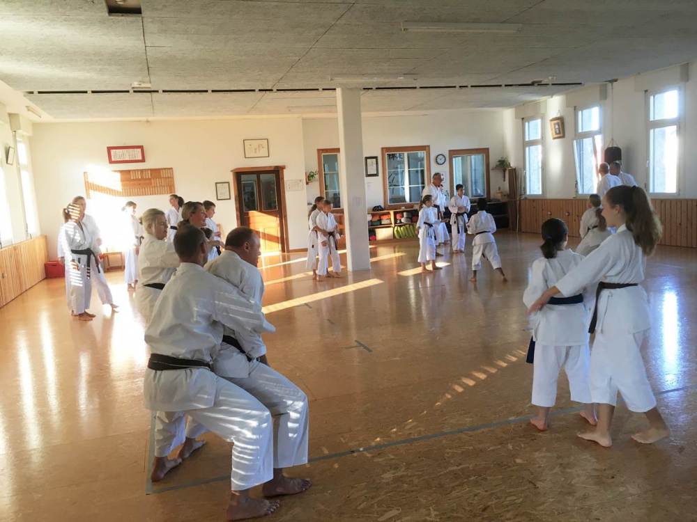 Blau_Braun_Schwarzgurt_Training_Nr_2_02