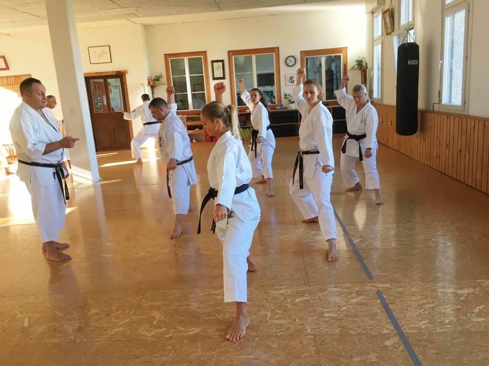 Blau_Braun_Schwarzgurt_Training_Nr_2_03