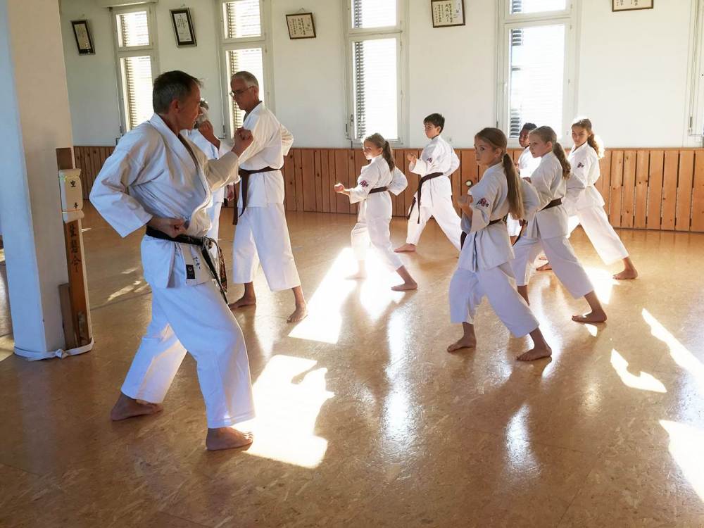 Blau_Braun_Schwarzgurt_Training_Nr_2_04