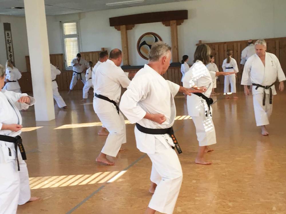 Blau_Braun_Schwarzgurt_Training_Nr_2_05