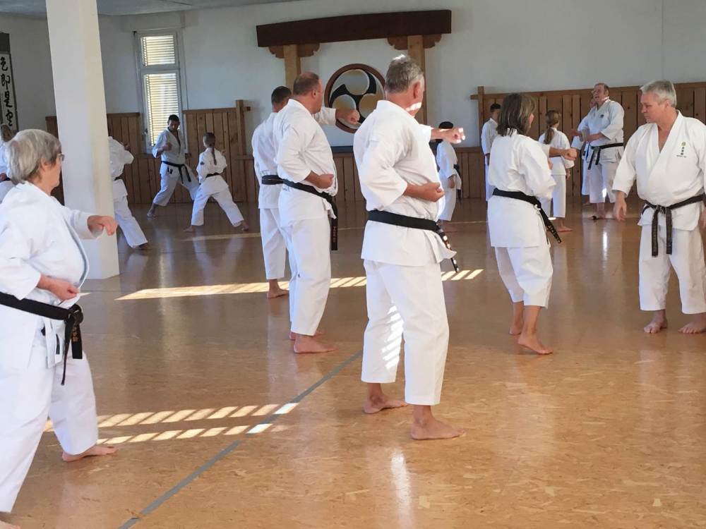 Blau_Braun_Schwarzgurt_Training_Nr_2_06