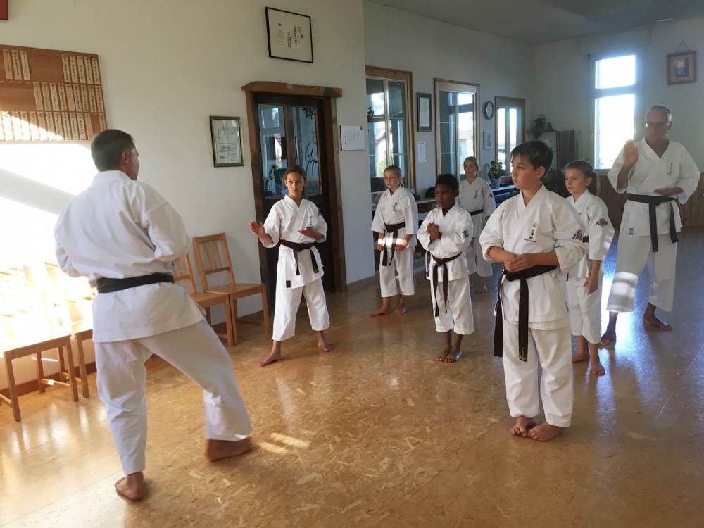 Blau_Braun_Schwarzgurt_Training_Nr_2_07