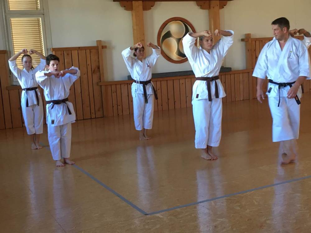 Blau_Braun_Schwarzgurt_Training_Nr_2_08