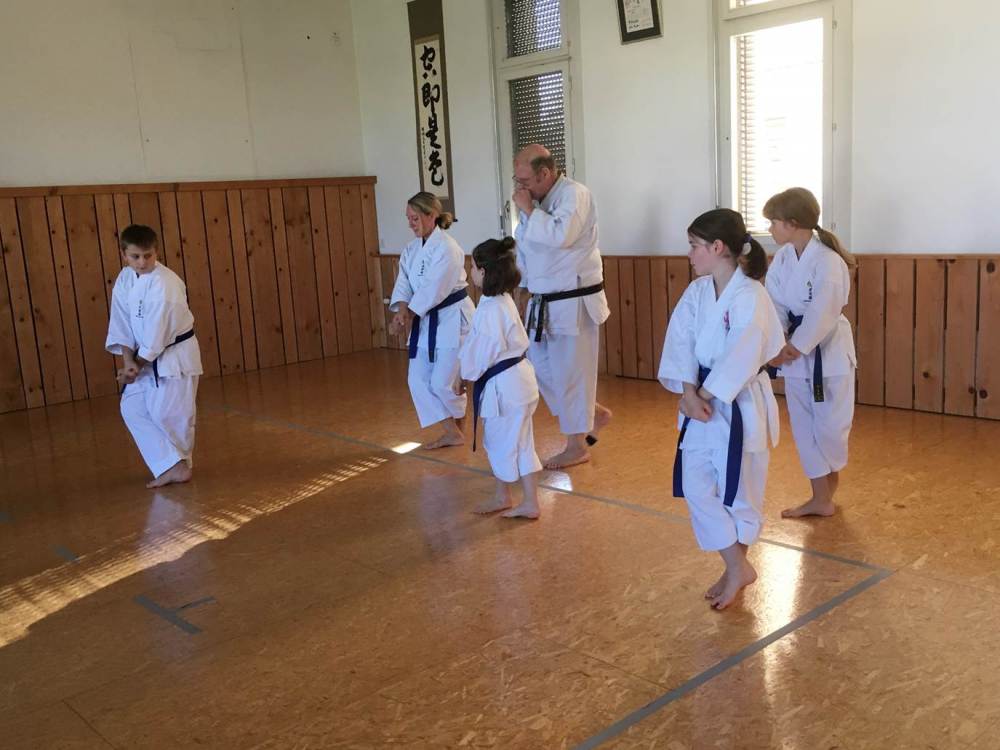 Blau_Braun_Schwarzgurt_Training_Nr_2_09