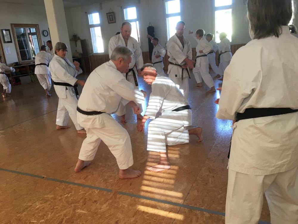 Blau_Braun_Schwarzgurt_Training_Nr_2_10