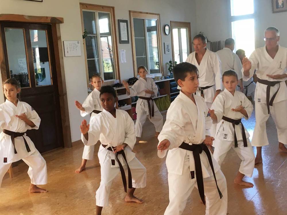 Blau_Braun_Schwarzgurt_Training_Nr_2_11