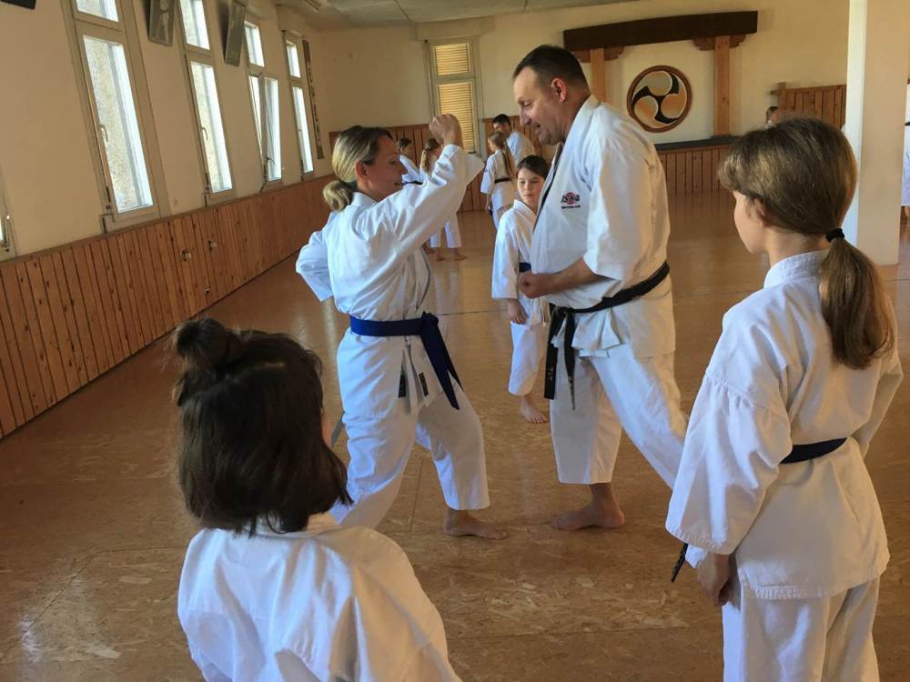 Blau_Braun_Schwarzgurt_Training_Nr_2_12