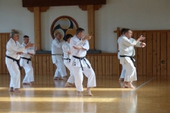 DAN_Vorbereitungskurs_Nr_1_12