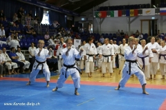 EM_Ungarn_54