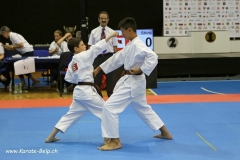 EM_Ungarn_59