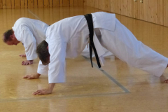 Karate+40_25