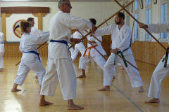 Karate+40_33