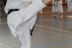 Shotokan_Cup_084