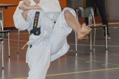 Shotokan_Cup_100