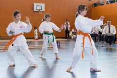 Shotokan_Cup_2019_028_klein