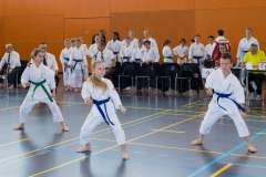 Shotokan_Cup_2019_030_klein