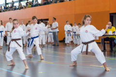 Shotokan_Cup_2019_032_klein
