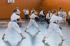 Shotokan_Cup_2019_035_klein