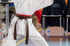 Shotokan_Cup_2019_078_klein