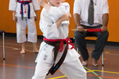 Shotokan_Cup_2019_084_klein