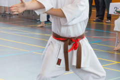 Shotokan_Cup_2019_085_klein