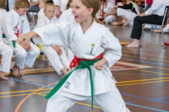 Shotokan_Cup_2019_101_klein