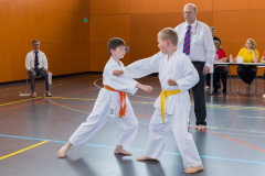 Shotokan_Cup_2019_115_klein